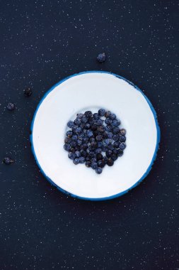 Ardıç meyveleri metal plaka tohumları