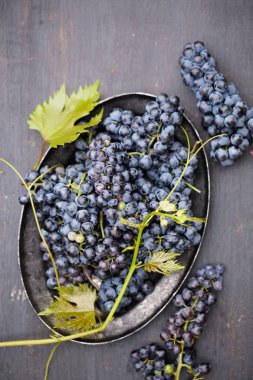 Eski bir şarap çeşitleri Cabernet Sauvignon üzüm vardır