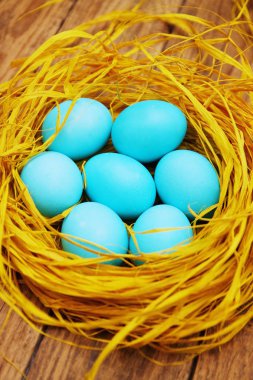 Renkli yumurta Paskalya natürmort yuvası