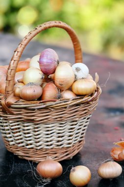 bir hasır sepet üzüm üzerinden küçük soğan