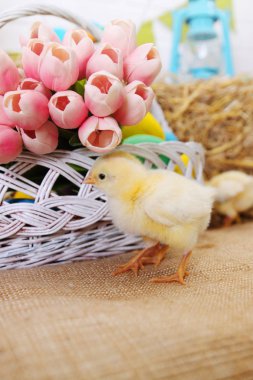 Samanlık, Paskalya natürmort küçük tavuk