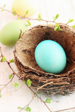 büyük turkuaz yumurta yuvada, Paskalya natürmort