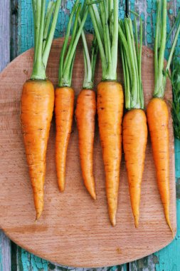 Taze sulu küçük havuç yönetim kurulu