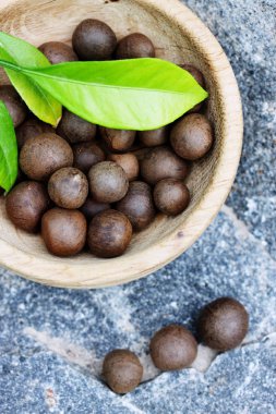 Büyük yuvarlak çay bitkisinin tohumları