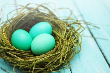 Renkli yumurta Paskalya natürmort yuvası