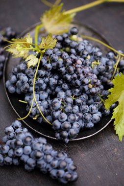 Eski bir şarap çeşitleri Cabernet Sauvignon üzüm vardır