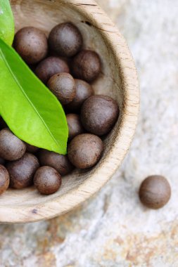 Büyük yuvarlak çay bitkisinin tohumları