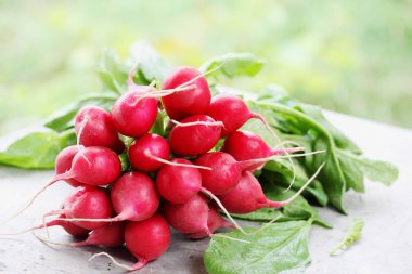 Demet taze turp ekolojik, bahçedeki