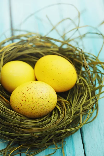 Nido Naturaleza Muerta Pascua Huevos Colores —  Fotos de Stock