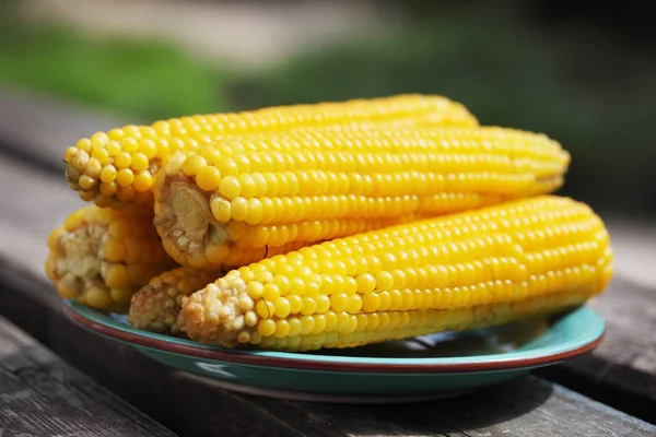 Gekochtes Mais Auf Einem Teller Garten — Stockfoto