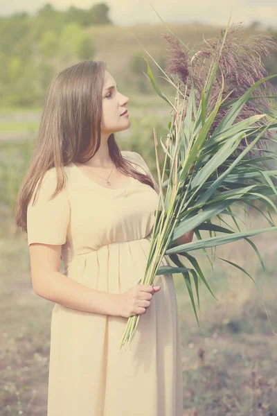 葦の花束を保持している妊娠中の女性 — ストック写真