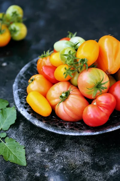 Różne Kształty Kolory Pomidorów Blachy — Zdjęcie stockowe