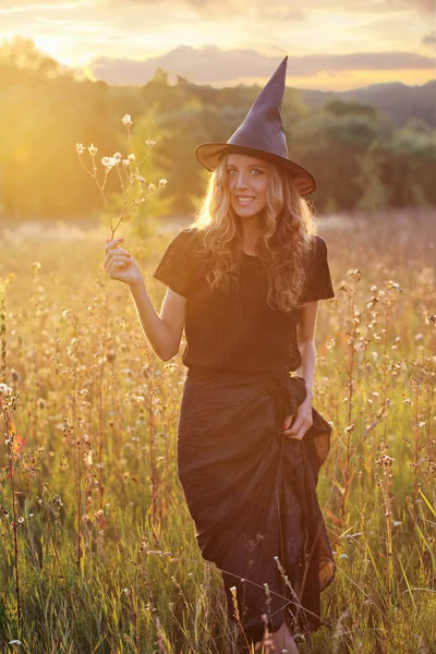 Genç Cadı Otlar Sahada Günbatımında Toplar — Stok fotoğraf