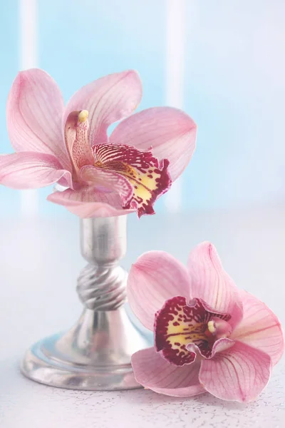 Flor Phalaenopsis Rosa Jarrón Metal — Foto de Stock