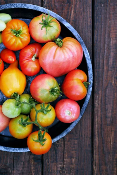 Różne Kształty Kolory Pomidorów Blachy — Zdjęcie stockowe
