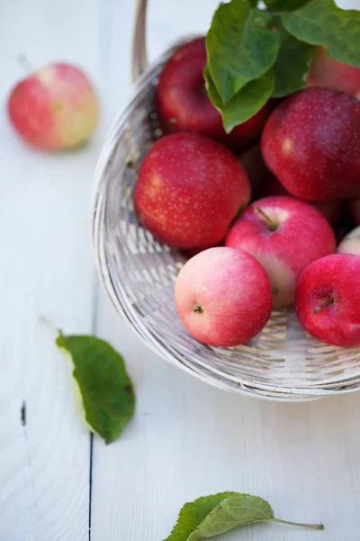 Cesta Blanca Con Manzanas Rosadas Maduras —  Fotos de Stock