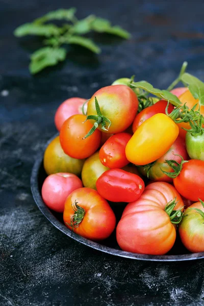 Verschiedene Formen Und Farben Von Tomaten Metallplatte — Stockfoto