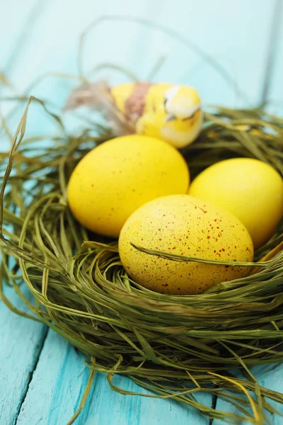 Osterstillleben Nest Aus Gefärbten Eiern — Stockfoto