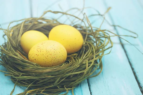 Easter Still Life Nest Colored Eggs — Stock Photo, Image