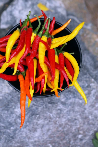 Small Hot Pepper Chili Bundle — Stock Photo, Image