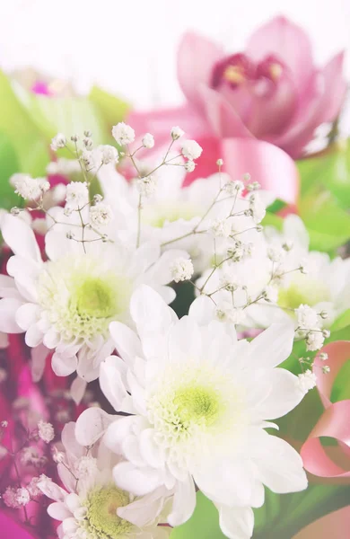 胡蝶蘭とカスミソウの花の組成 — ストック写真