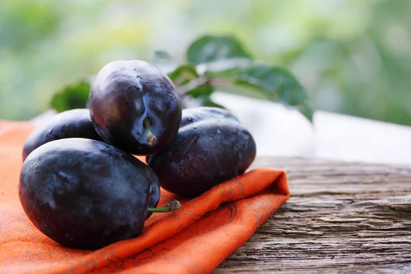 Świeży Duży Organicznych Śliwki Ogrodzie — Zdjęcie stockowe