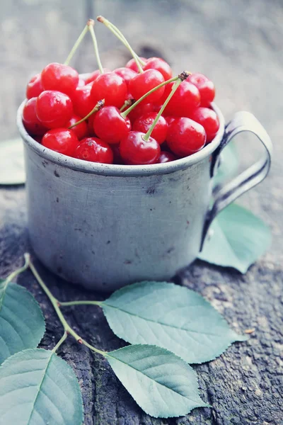 Cerezas Frescas Una Taza Metal Vieja —  Fotos de Stock