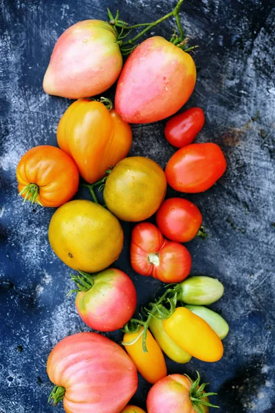 Várias Formas Cores Tomates Fundo Escuro — Fotografia de Stock