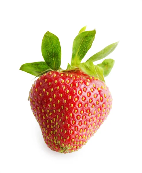 Grote Sappige Rijpe Aardbeien Geïsoleerd Witte Achtergrond — Stockfoto