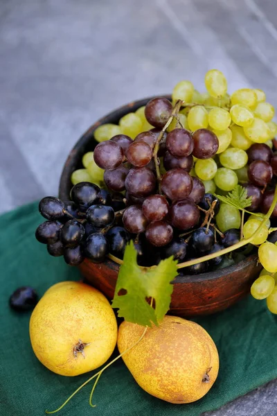 Natureza Morta Frutos Outono Contexto Cinza — Fotografia de Stock