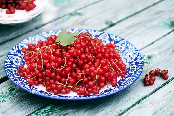 Ripe Organic Red Currants Large Plate Ornament — Stock Photo, Image