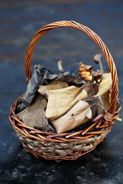 Mongolian Toning Stress Tea Bergenia — Stock Photo, Image