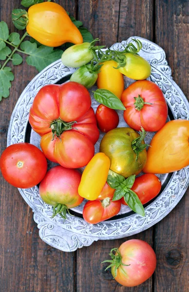 Różne Kształty Kolory Pomidorów Metalowej Tacy — Zdjęcie stockowe