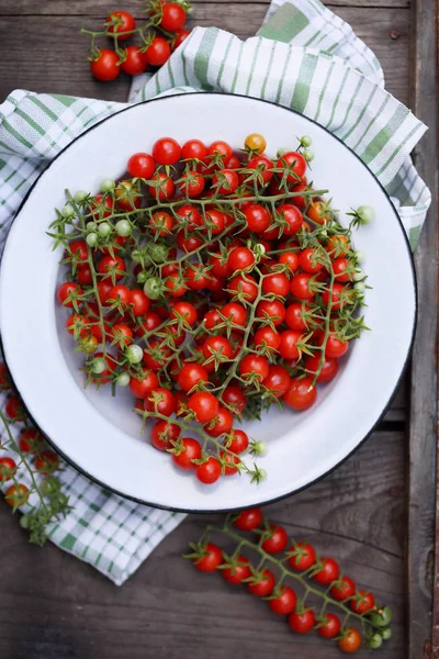 Small Cherry Tomatoes Branch — Stock Photo, Image