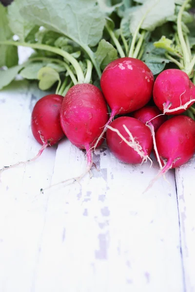 Bunch Radishes Wooden Boards — Stock Photo, Image
