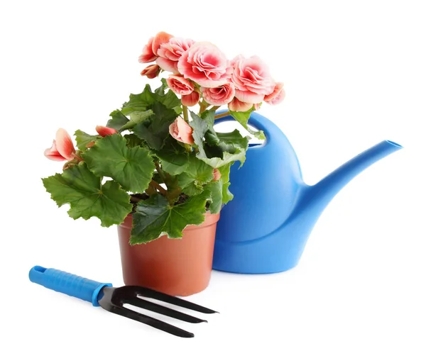 Trädgården Stilleben Vit Bakgrund Blomma Vattenkanna Och Pitchfork — Stockfoto