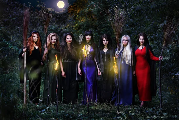 Siete Hermosas Brujas Con Escobas Bosque Nocturno Pie Una Fila —  Fotos de Stock