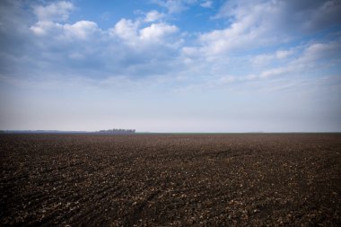 Erken baharda sürülmüş ve ekilen alan