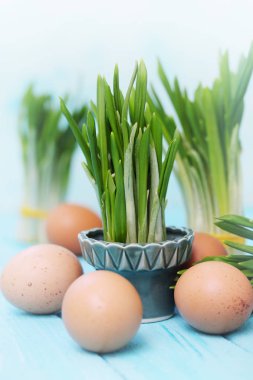 Demet ramson ve haşlanmış yumurta için bahar salatası