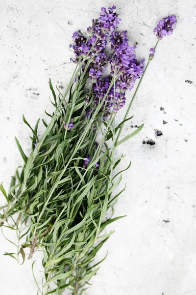 Bouquet Lavanda Fiorita Tavolo Metallo — Foto Stock