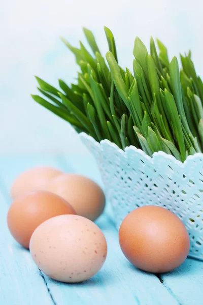 Яйца Рамсон Вареные Яйца Весеннего Салата — стоковое фото