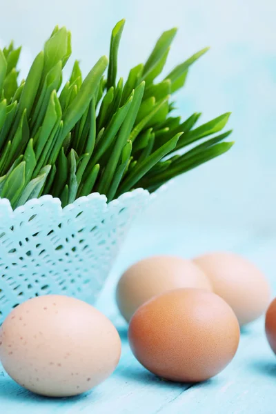Bunches Ramson Boiled Eggs Spring Salad — Stock Photo, Image