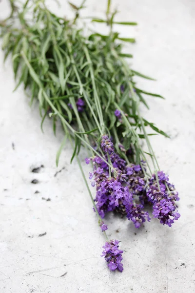 Bouquet Von Blühendem Lavendel Auf Einem Metalltisch — Stockfoto