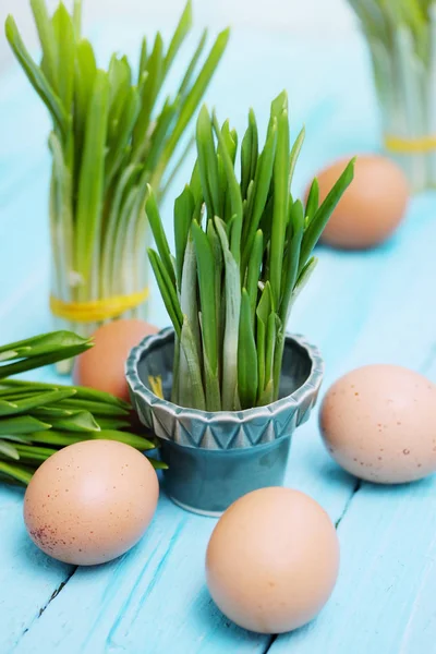 Булочки Баранячих Варених Яєць Весняного Салату — стокове фото