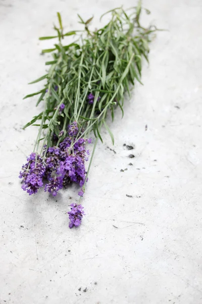 Bouquet Lavanda Fiorita Tavolo Metallo — Foto Stock