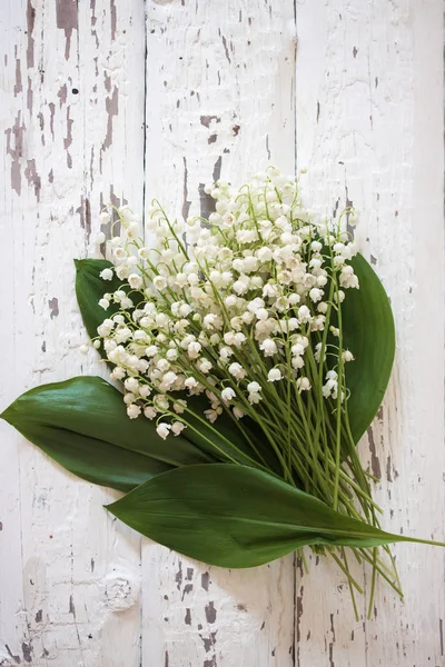 Buquê de lírios do vale em branco — Fotografia de Stock