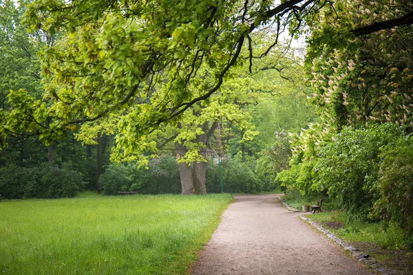 Walking path in the spring park — Stock Photo, Image