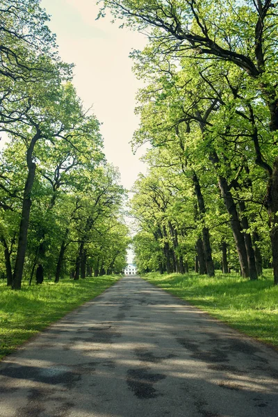 The road goes into the distance — Stock Photo, Image