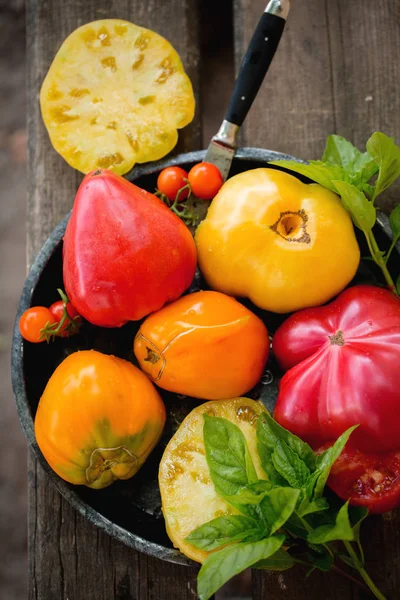 Velké šťavnaté pestrobarevným rajčata — Stock fotografie