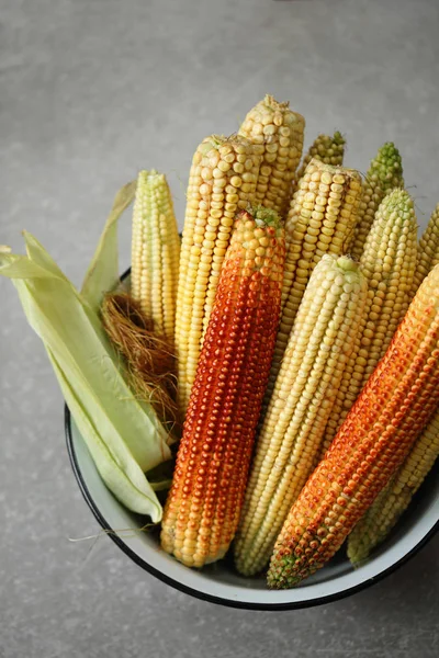 Red and white corn — Stock Photo, Image